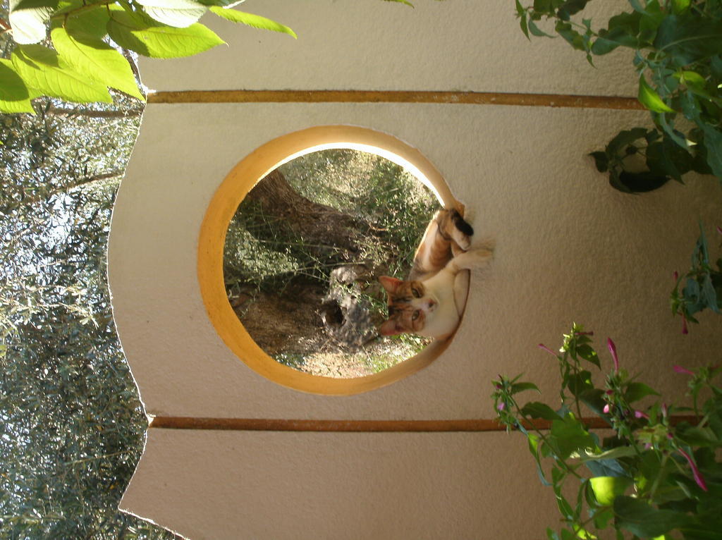 Athina Aparthotel Kavos Luaran gambar